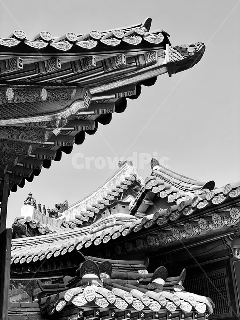 경복궁,흑백,한옥,궁궐,기와,기와집,ancientpalace,GyeongbokgungPalace,고궁