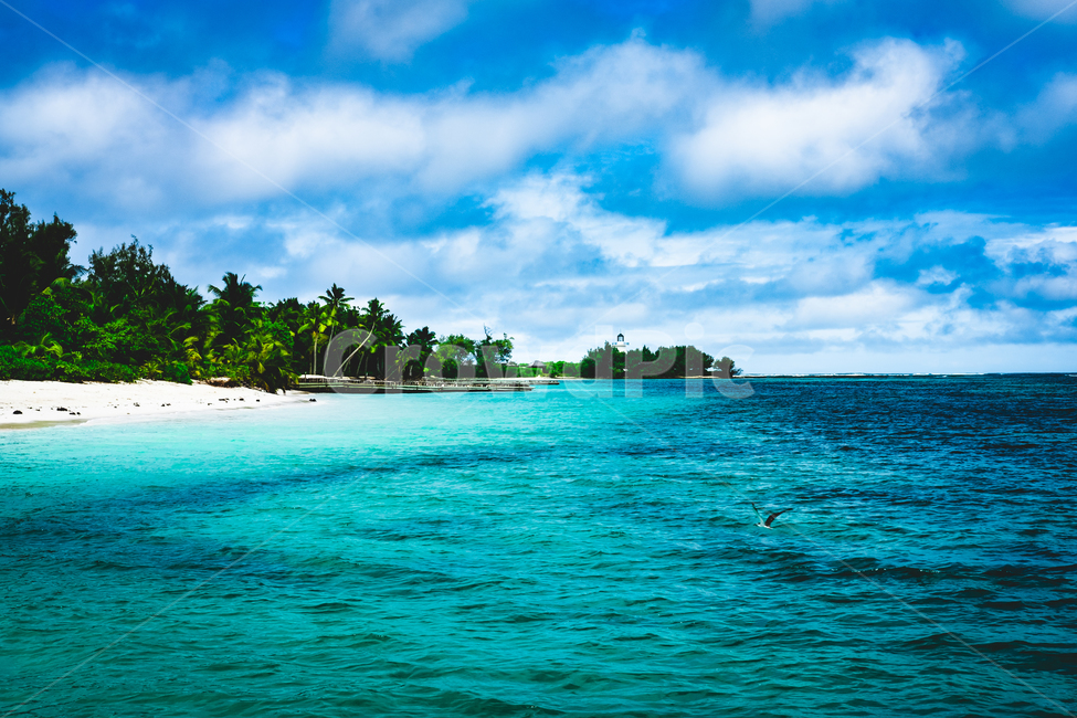 셰이셀,seychelles,셰이샐,바다,에메랄드해변,인도양,자연,풍경,nature,landscape,land,땅,outdoors,옥외,shoreline,해안선,water,물,ocean,대양,sea,coast,연안