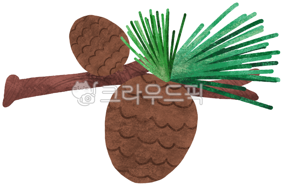 솔방울,소나무,솔방울일러스트,열매,가을,자연,환경,자연환경,갈색,솔,나무,나무열매,소나무솔방울