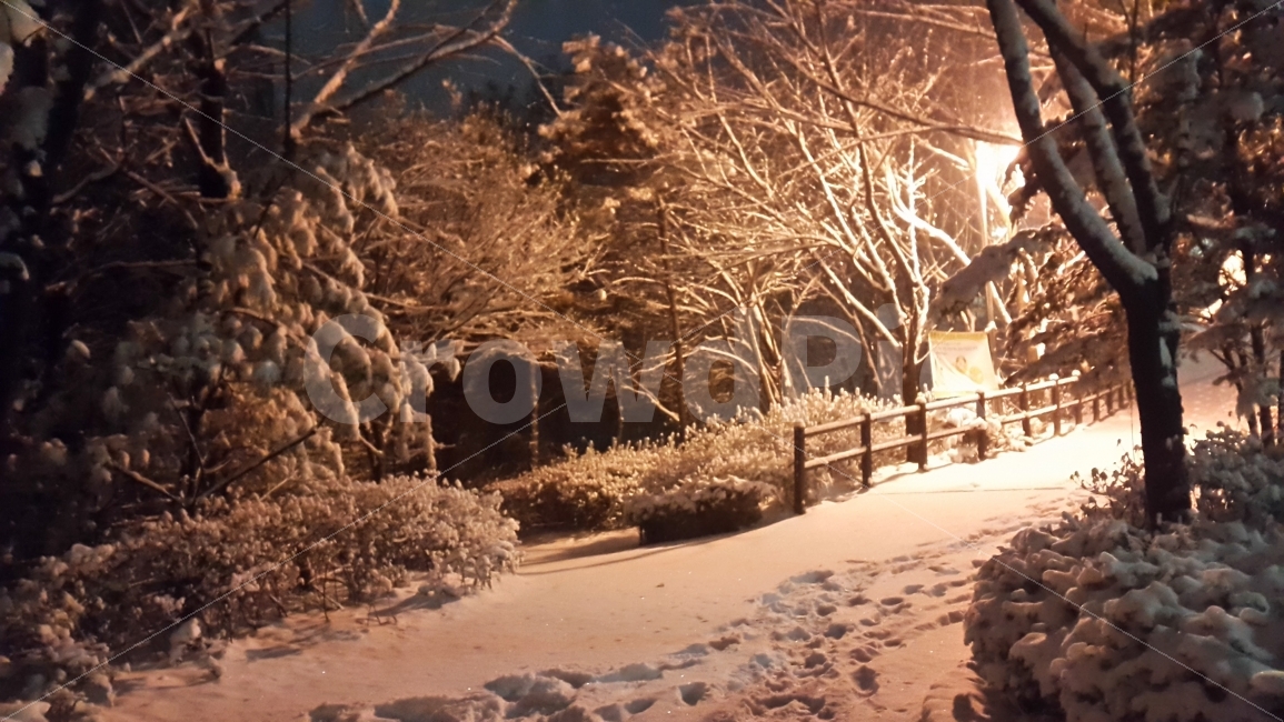 겨울,겨울밤,첫눈,눈,발자국,겨울,계절,winter,season,자연,풍경,nature,landscape,야경,밤,nightscape,night,outdoors,옥외
