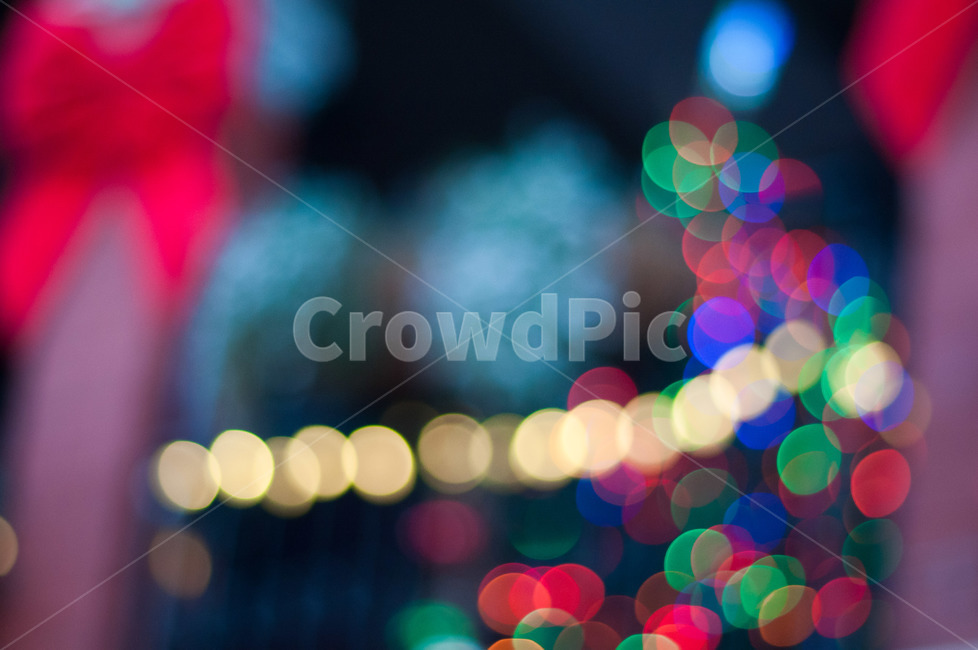 lighting,조명,빛,크리스마스,트리,라이트,야경,밤,풍경,nightscape,night,landscape,메리크리스마스,성탄절,merry christmas