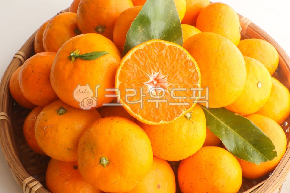 감귤류과일, citrusfruit, 과일, 주황색, 음식, 사진,이미지,일러스트,캘리그라피 - elisha작가