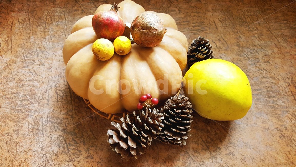 호박,모과,석류,솔방울,탱자,음식,식재료,요리,food,cook,meal,dishes,food reserves,과일,열매,fruit,채소,야채,vegetables