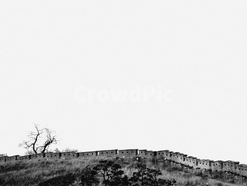 nature,자연,outdoors,옥외,grassland,목초지,field