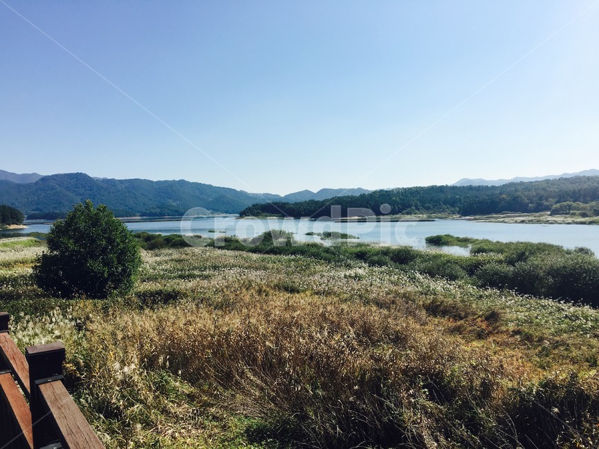 갈대밭,갈대,풍경,자연,가을,자연,풍경,nature,landscape,outdoors,옥외,land,땅