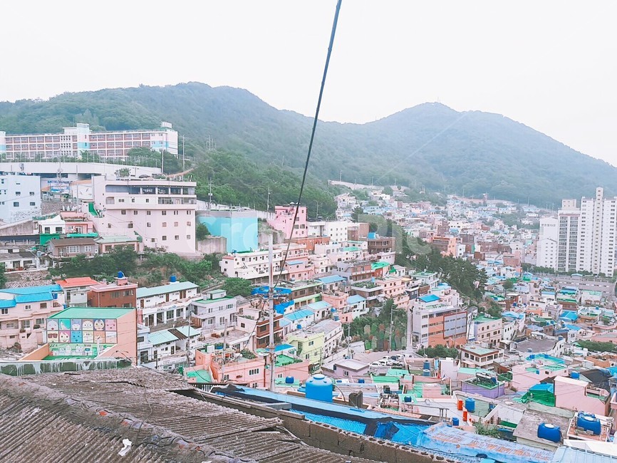 부산,감천문화마을,집,마을,풍경