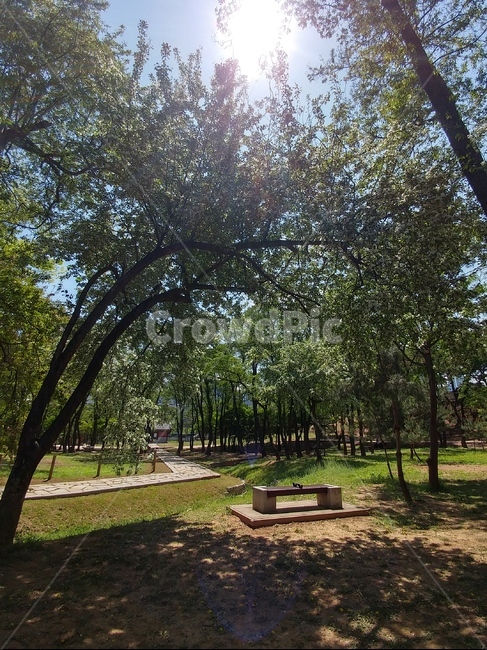 선릉,세계문화유산,선정릉,한국,풍경