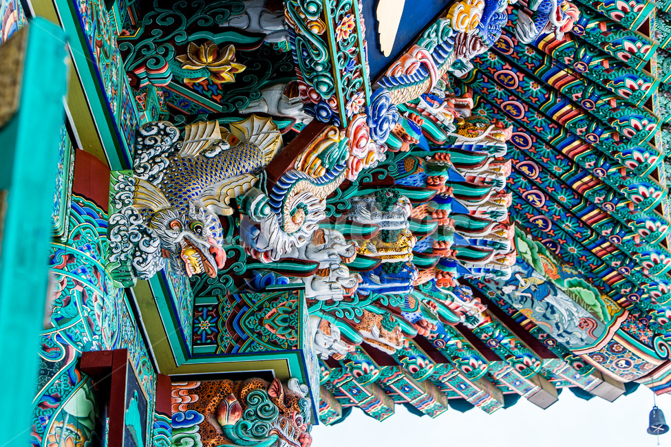 단청,처마단청,고찰,사찰,물고기단청,전통조각,무늬,채색,문양,전통공예,목공예,목조건물,한국전통,한국문화,korean traditional,korean culture,종교,신앙,religion,belief,faith,건축물,건물외관,exterior,building,structure,architecture,construction