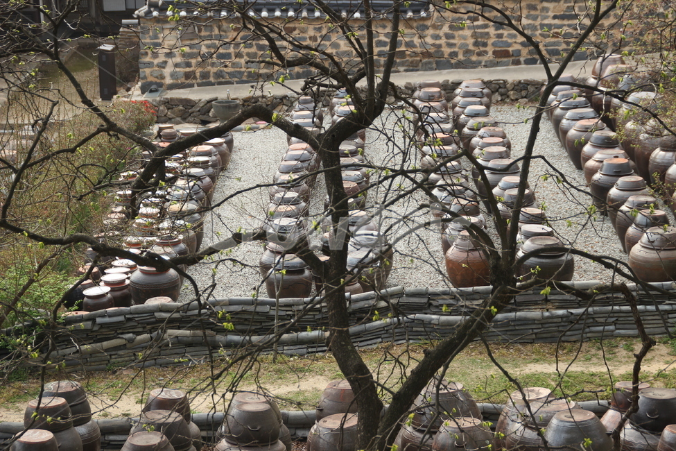항아리,옹기,장독,시골,풍경,pot