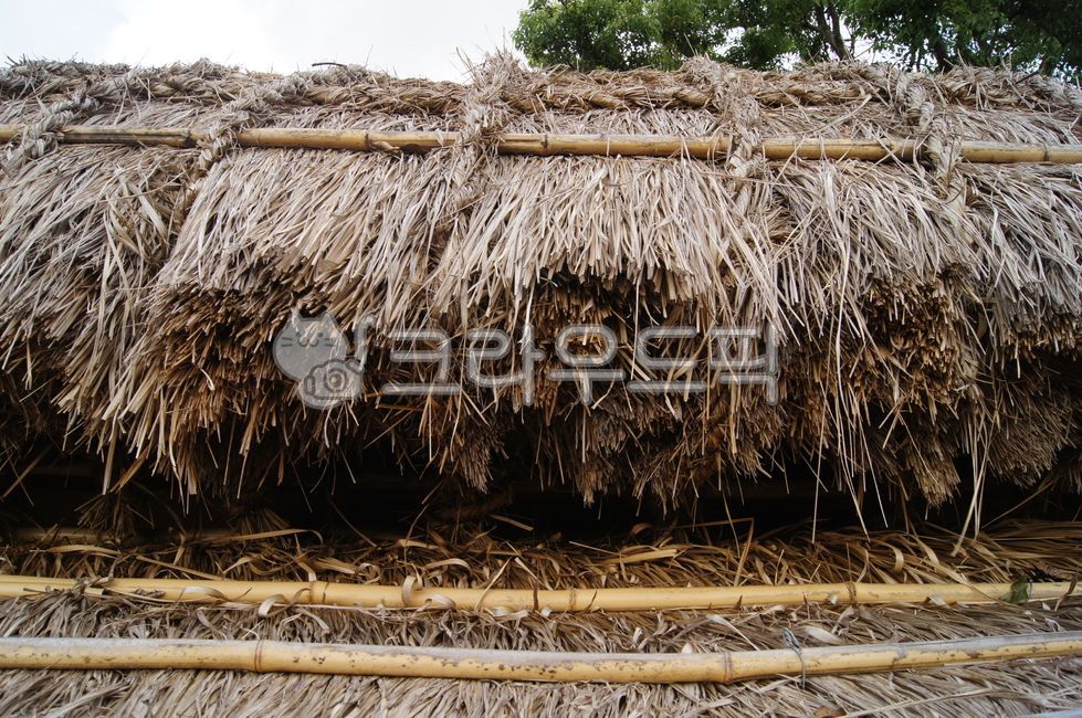 짚, 초가, 지붕, 제주, 해풍, 사진,이미지,일러스트,캘리그라피 - SWEET GALE작가