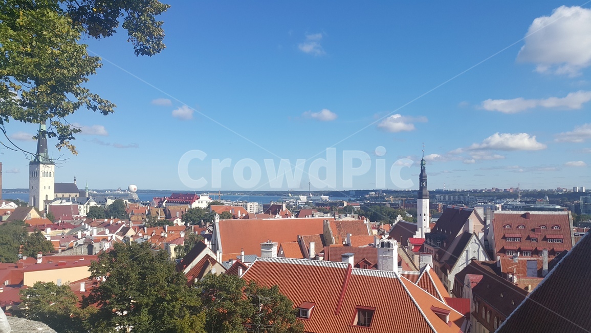 estonia,에스토니아,탈린,tallin,올드타운