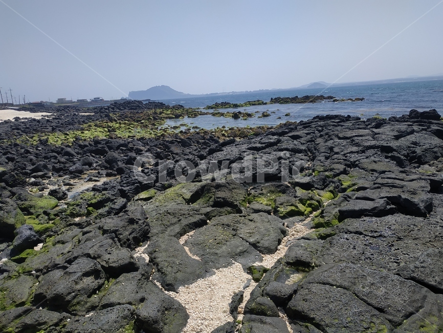 이끼,바닷가,바다,해안가,바위,자연,풍경,nature,landscape