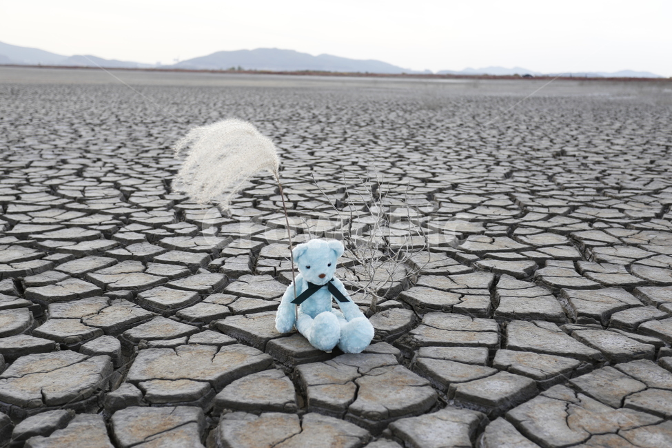 갯벌,마른갯벌,인형,갈대풀,외로움,고독함,외로움,쓸쓸함,우울함,슬픔,lonely,solitary,사물,물건,오브젝트,thing,object,matter