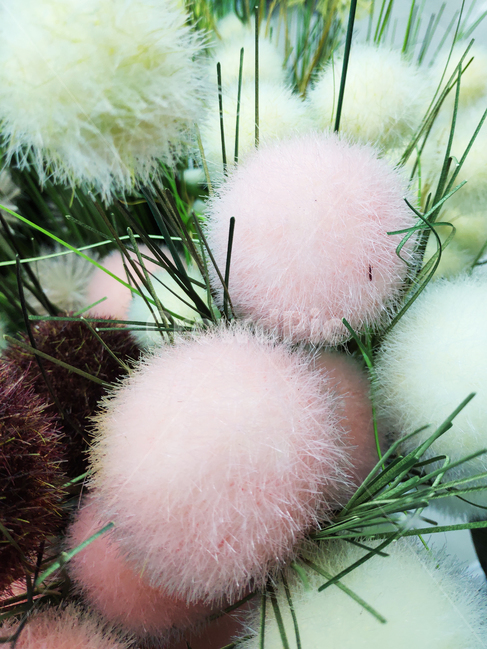 plant,식물,털,fur,솜,cotton