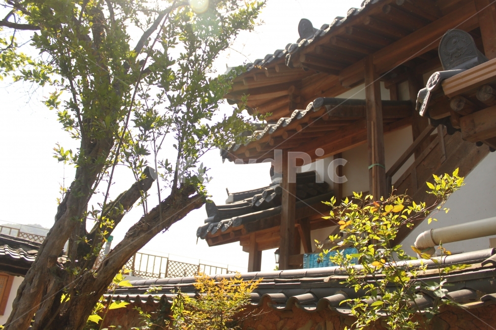 한옥,전주,기와,기와집,풍경,전동,전통집,한옥마을,한국전통,한국문화,korean traditional,korean culture,건축물,건물외관,exterior,building,structure,architecture,construction