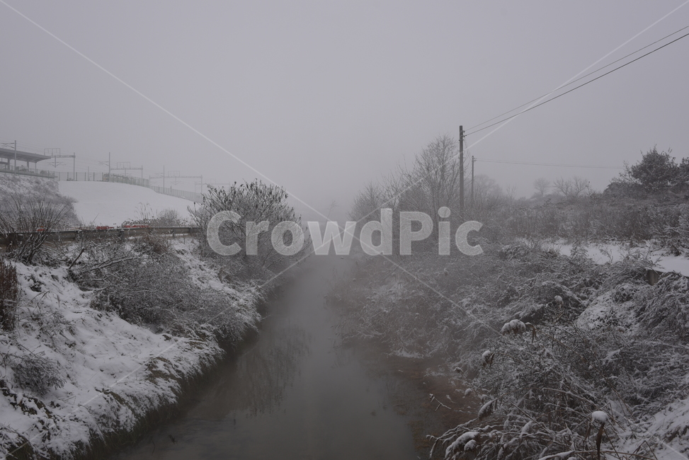 nature,자연,안개,들,겨울,눈,snow,winter,풍경,배경,도랑,fog,mist,겨울,계절,winter,season,자연,풍경,nature,landscape