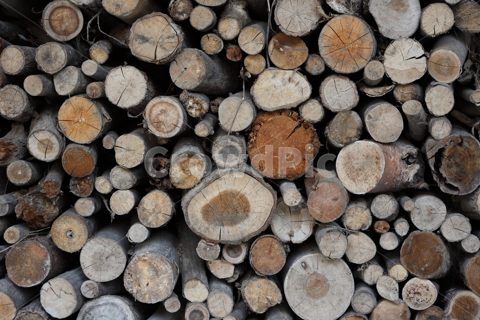 나무,장작,단면,wood,firewood,나무,trees,wood