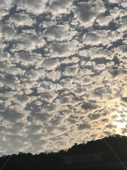 적운,구름,cloud,날씨,하늘,sky,outdoors,nature