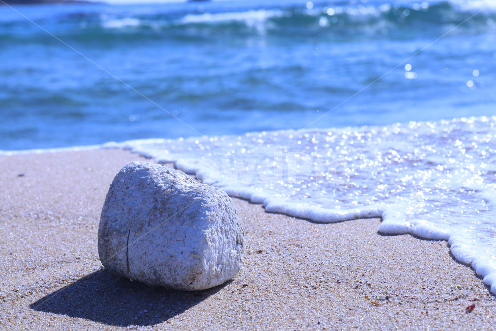 바다,바닷물,모래사장,스티로폼,그림자,흙,해변,바다,beach,sea