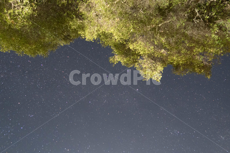 자연,outdoors,옥외,nature,야경,별,야경,밤,풍경,nightscape,night,landscape