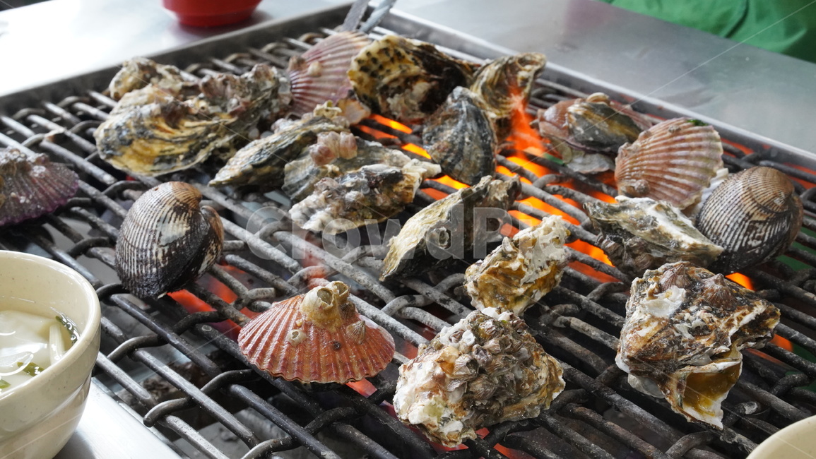 석회,굴,굴찜,가리비,음식,해산물,조개,음식,식재료,요리,food,cook,meal,dishes,food reserves,수산물,해산물,fishery products,seafood