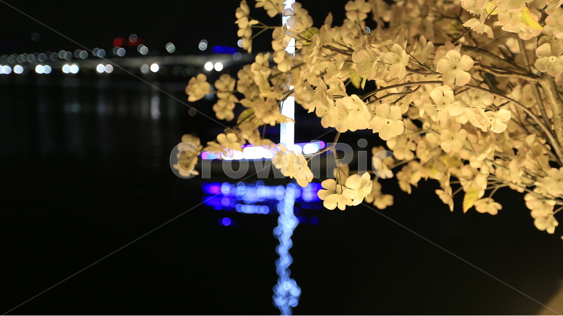 벚꽃,인조벚꽃,풍경,불빛,야경,야경,밤,풍경,nightscape,night,landscape,꽃,flower