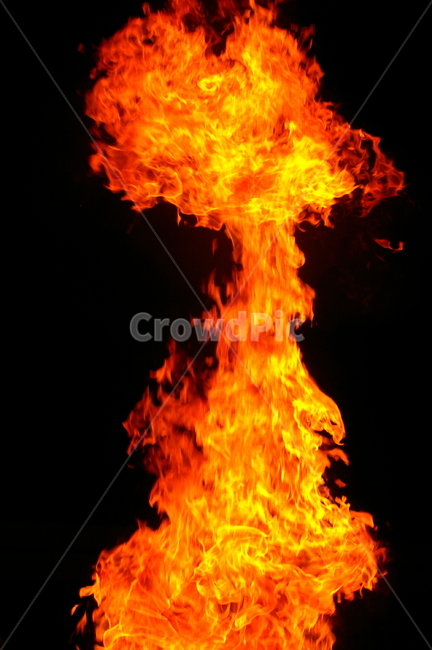 나무,fire,밤,야외,저녁,불꽃,불,모닥불,캠프파이어