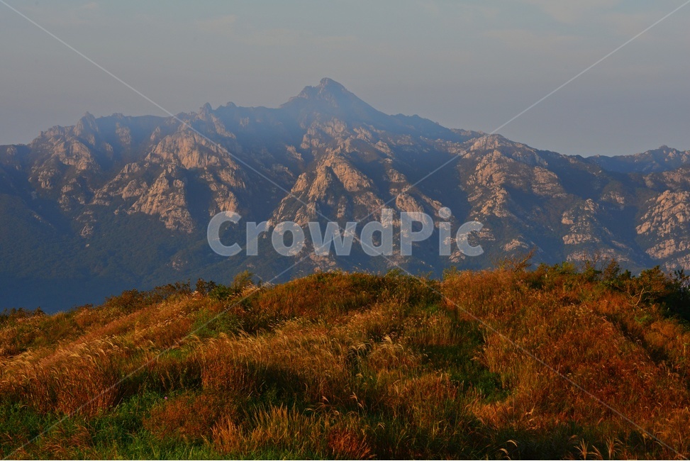 전남,영암,월출산,운해,아침,여명,mountainrange,산맥,outdoors,옥외,mountain,산,nature,peak,피크,자연,풍경,nature,landscape,한국자연풍경,한국자연경관,korea nature landscape