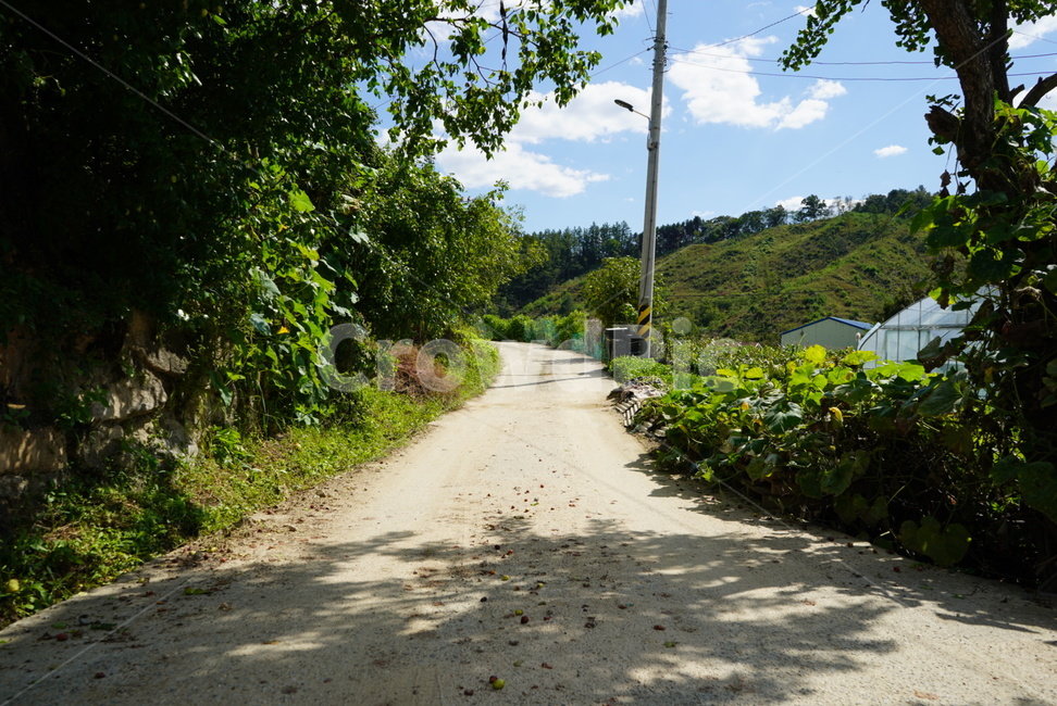 원주,소초,시골,풍경,자연,길,시골,마을,풍경,landscape,country,rural,town