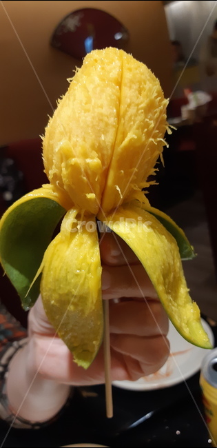 망고,과일,mango,fruit,food