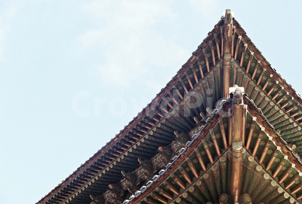 흥인지문,단청,기와,문화재,전통단청,건축물,건물외관,exterior,building,structure,architecture,construction,한국전통,한국문화,korean traditional,korean culture