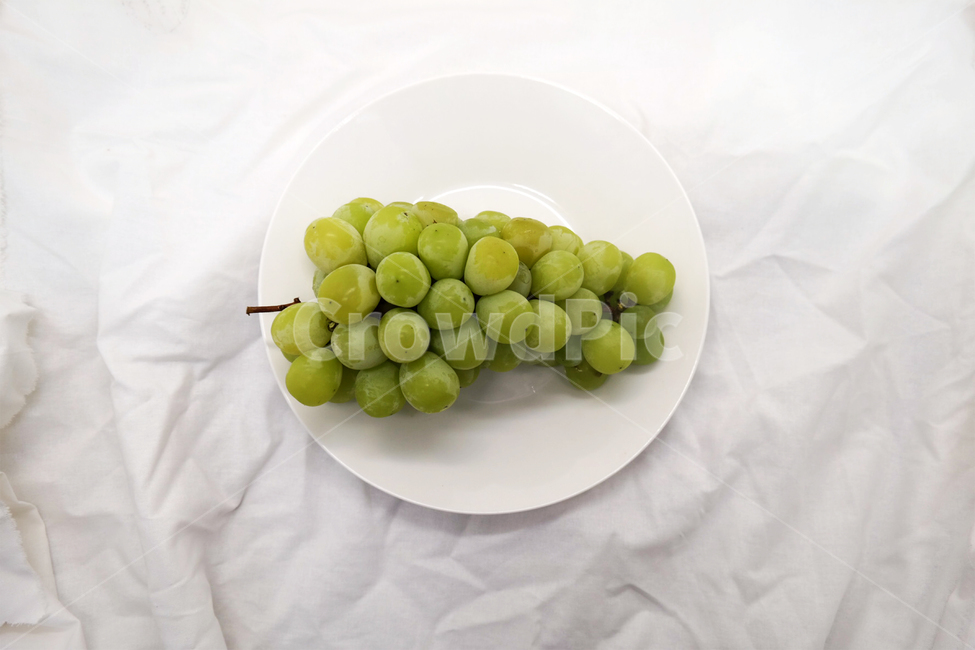 포도,grape,fruit,과일,머스켓,청포토,muscat,접시,과일,열매,fruit