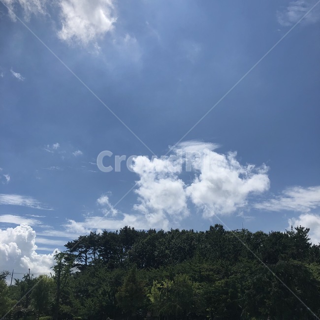 weather,날씨,nature,자연,구름,하늘,sky,자연,풍경,nature,landscape,cumulus,적운,outdoors,옥외,cloud