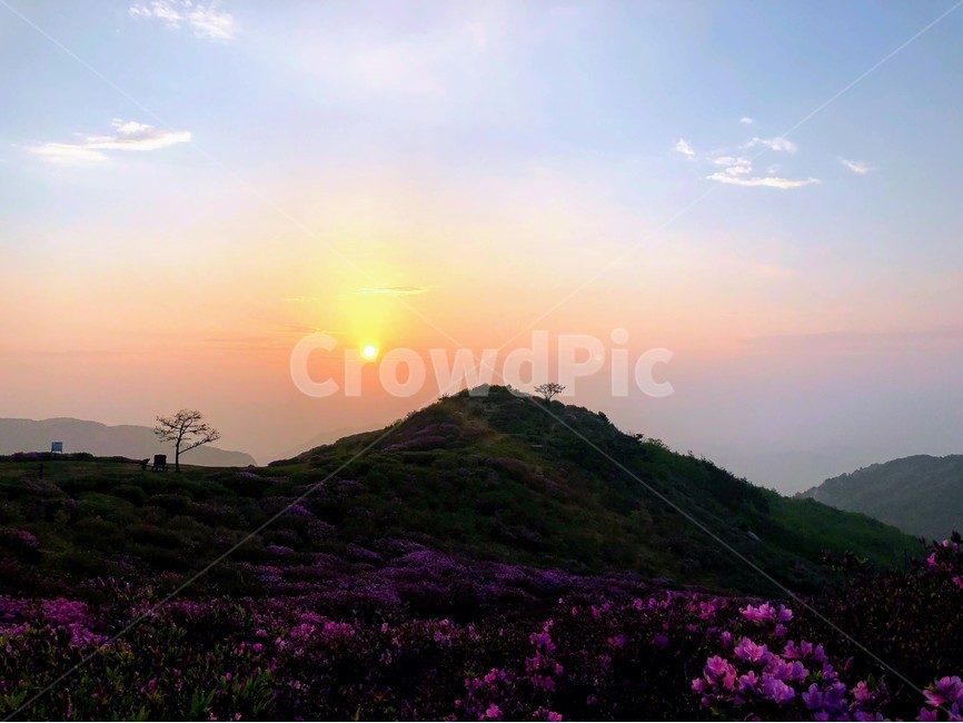 경치,자연,풍경,하늘,나무,봄,계절,spring,season,자연,풍경,nature,landscape,한국자연풍경,한국자연경관,korea nature landscape,outdoors,옥외