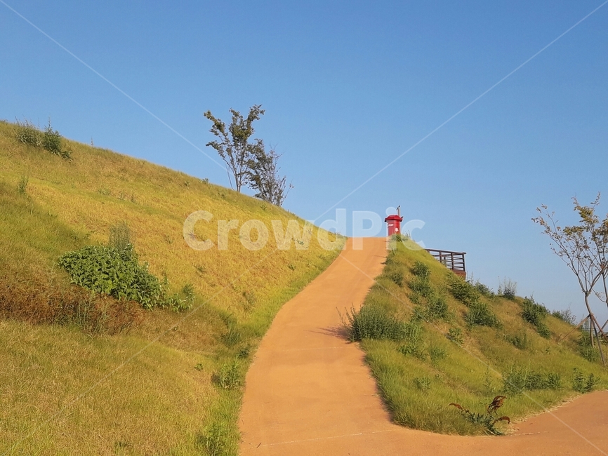 언덕,들판,여름풍경,hill,summerlandscape,자연,구름,하늘,여름