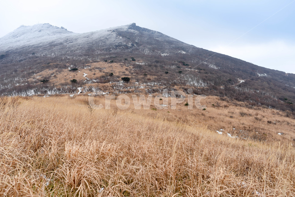 무등산,자연,산,산맥,outdoors,mountain,겨울,눈,winter,snow,cold,억새,갈색,sivergrass,lonely,외로움,고독