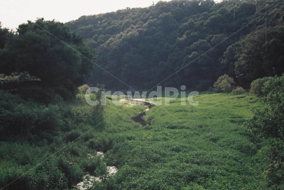 field,들,outdoors,옥외,nature,자연,grassland,목초지,숲,forest,강,river,자연,풍경,nature,landscape