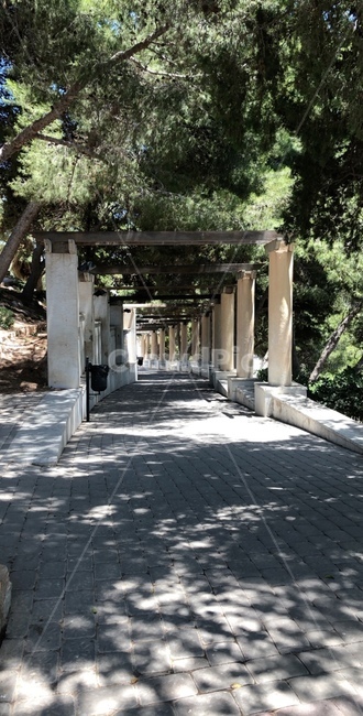 자연경관,휴식,길,road,tree,나무,nature