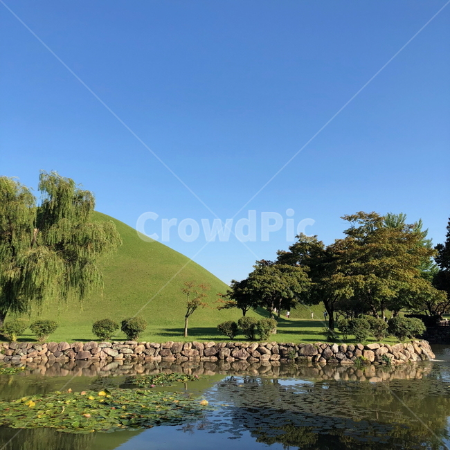 경주,하늘,배경,풍경,감성