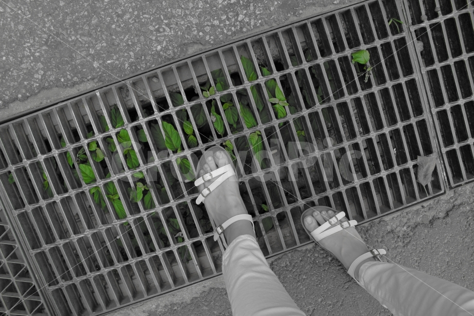 생명,감옥,푸르름,풀,하수구,여름,샌들,발,jail,prison,life,green,grass,drain,식물,자연,plants,nature,사람,인물,인간,human,person,신체일부,몸,body,여성,여자,woman,female,lady,흑백,모노톤,monochrome,black and white
