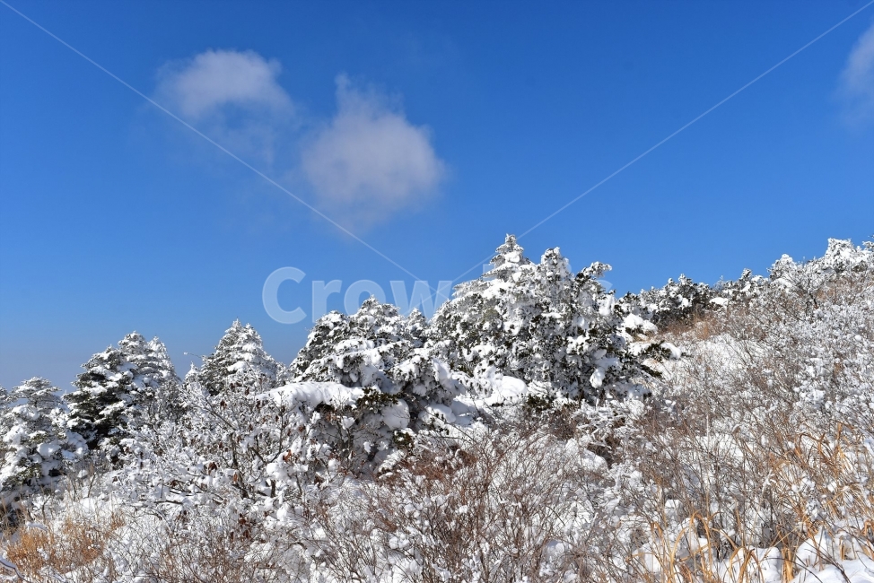 무등산,국립공원,풍경,힐링,산행,설경,상고대,서리꽃,서석대,입석대,안양산,백마능선,장불재,증심사,중봉,중머리재,천왕봉,지왕봉,Korea,National,Park,눈풍경,등산,주상절리,판타스틱,겨울왕국,겨울,지질공원,인왕봉,천지인,설국,2018년,1월,눈꽃,파란하늘,트레킹,winter,landscape,감성,아름다운,황홀한,장관,비경,선경,최고,사진,겨울,계절,winter,season,자연,풍경,nature,landscape,한국자연풍경,한국자연경관,korea nature landscape,outdoors,옥외,ice,얼음