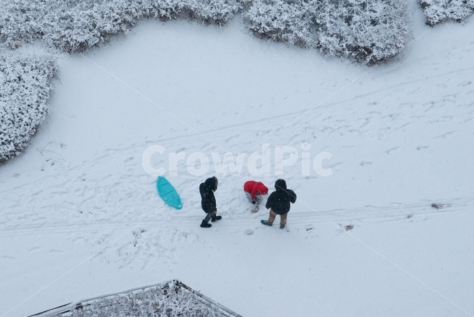 겨울,눈썰매,감성,하얀색,겨울풍경,nature,자연,outdoors,옥외,snow,눈