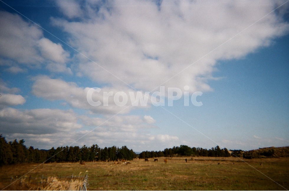 하늘,구름,일상,여행,제주,오름,말,들판,자연,풍경,nature,landscape,outdoors,옥외,field,들,grassland,목초지