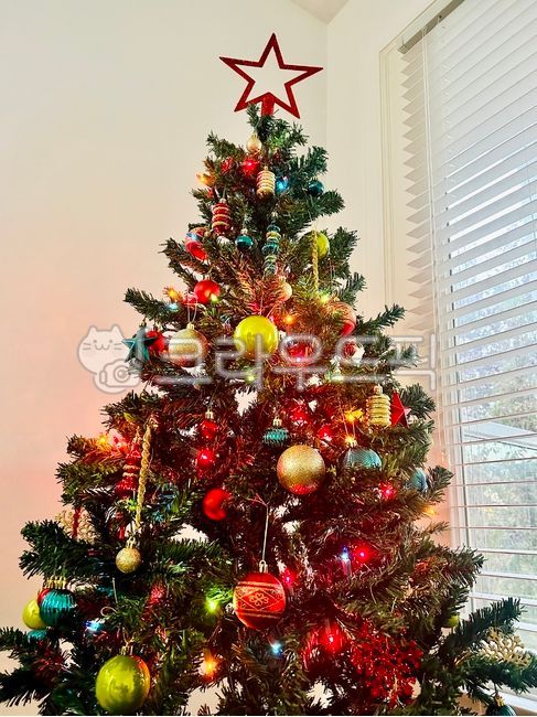 christmas,크리스마스,christmasdecorations,festival,크리스마스장식들,제전,tree,나무,크리스마스트리,christmastree