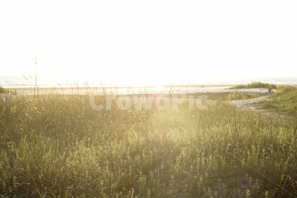 안면도,풍경,바닷가,햇빛,sunshine,natural,노을,자연,풍경,nature,landscape,flare,플레어,light,빛