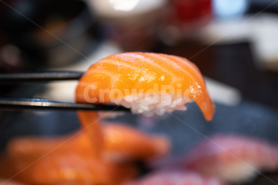 초밥,쓰시,sushi,연어초밥,일식,맛집,음식,일본음식