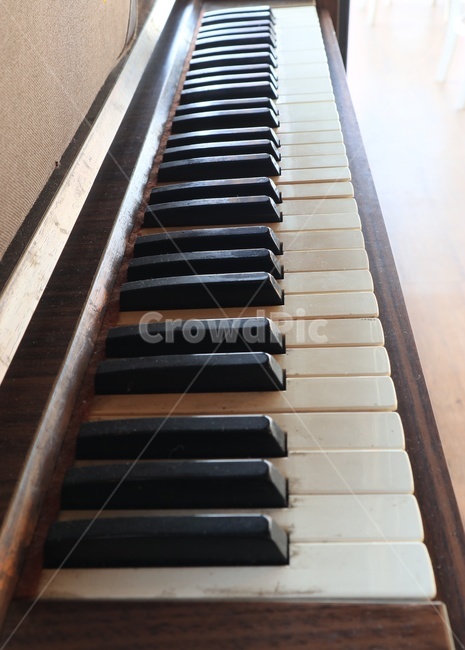 오르간,음악,피아노,악기,건반,풍금,악기,음향기기,musical instrument,musical equipment