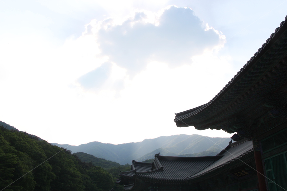 구름,하늘,맑음,산,절,cloud,sky,예쁨,하늘색,흰색,skyblue,조화,김천,직지사,gimcheon,jikjisa,mountain