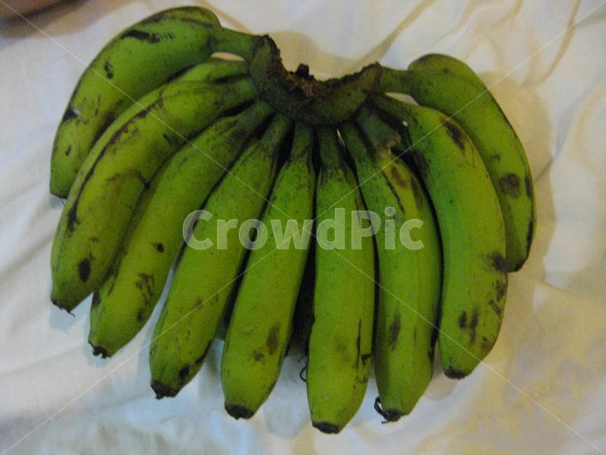 plant,식물,banana,바나나,fruit,과일,food,음식