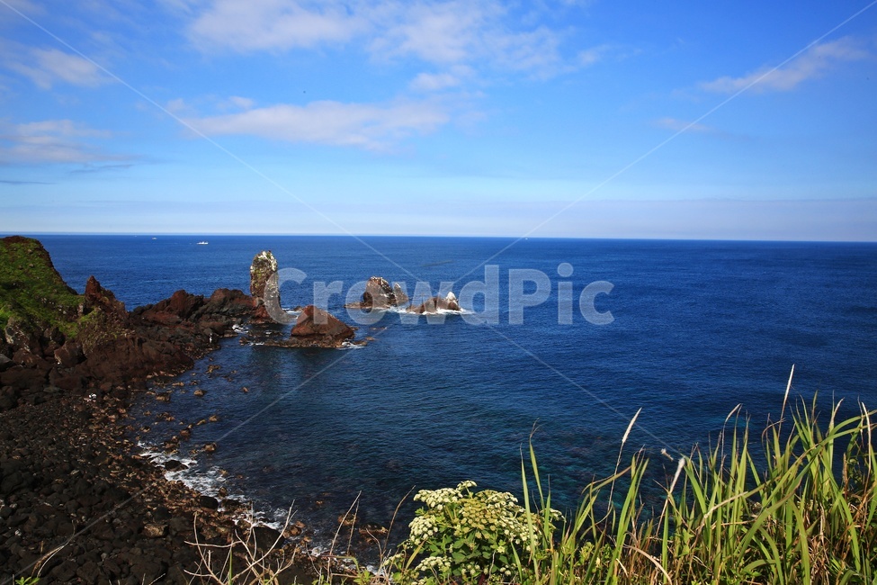 shoreline,해안선,promontory,곶,outdoors,옥외,nature,자연,water,물,ocean,대양,sea,바다,제주,섭지코지,해변,해안,자연,풍경,nature,landscape